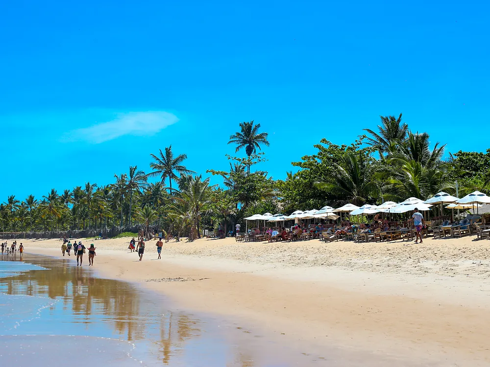 Trancoso com Fábrica de Chocolate