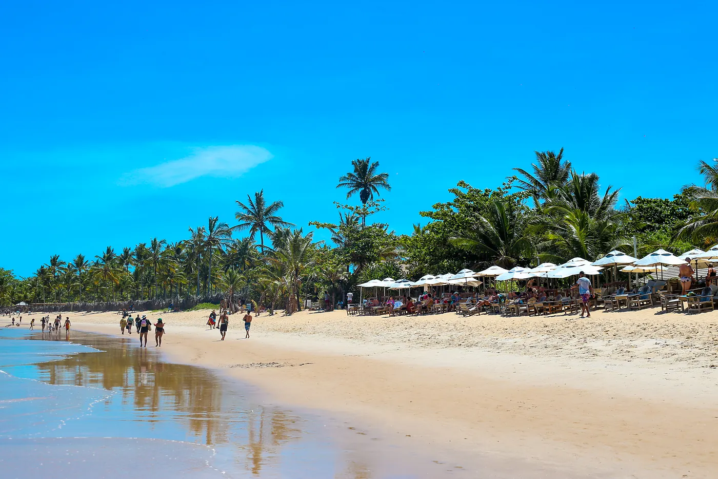 Praia de Trancoso com barracas e coqueiros